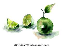 水彩画 イラスト の レモン ストックイメージ K Fotosearch