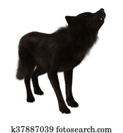 3D Rendering Black Wolf on White 3D Rendering Black Wolf on White
