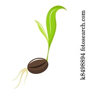 Seedling - newborn plant Seedling - newborn plant
