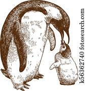 engraving drawing illustration of emperor penguin and nestling