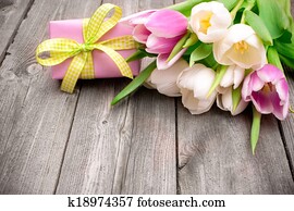 fresh pink  tulips with a gift box