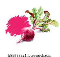 Vegetable set. Pepper, beetroot, tomato, eggplant, blob. Harvest and Thanksgiving fruit of nature, food collection for restaurants, menus, posters and grocery bags. Graphics and color Vegetable set. Pepper, beetroot, tomato, eggplant, blob. Harvest and Thanksgiving fruit of nature, food collection for restaurants, menus, posters and grocery bags. Graphics and color
