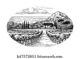 Vineyard by the sea. Vineyard by the sea.