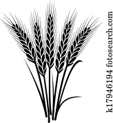 וקטור, לבן שחור, צרור של, חיטה, אוזניים