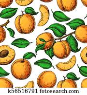 apricot color Apricot seamless pattern. Vector drawing. Hand draw apricot color Apricot seamless pattern. Vector drawing. Hand draw