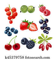 Set of icons juicy ripe berries Set of icons juicy ripe berries