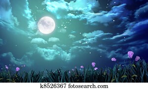moon in the night sky moon in the night sky