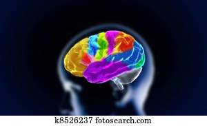 the crystal brain part11 the crystal brain part11