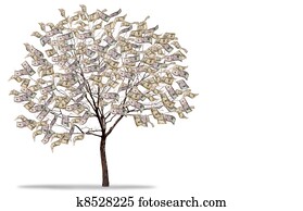 돈 나무, 백색 위에서, 배경