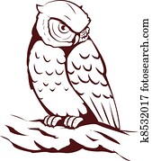 owl owl