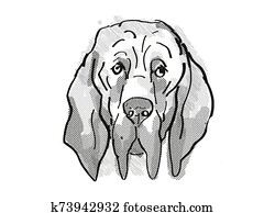 Bloodhound Dog Breed Cartoon Retro Drawing Bloodhound Dog Breed Cartoon Retro Drawing