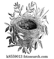 bird nest vintage illustration bird nest vintage illustration