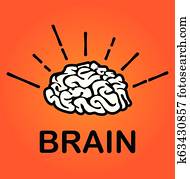 bright brain bright brain