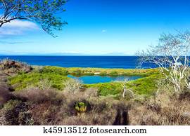 Santiago Island Landscape