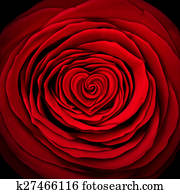 amor, rosa, concepto