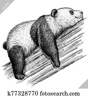 black and white engrave isolated panda vector illustration black and white engrave isolated panda vector illustration