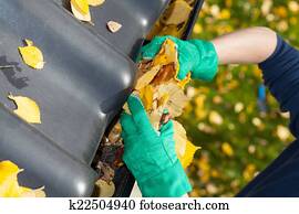 folhas, em, chova sarjeta