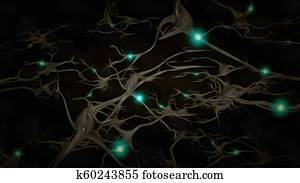 Neurons Neurons