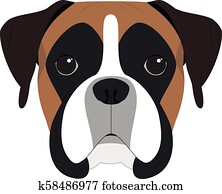 Boxer dog isolated on white background vector illustration Boxer dog isolated on white background vector illustration