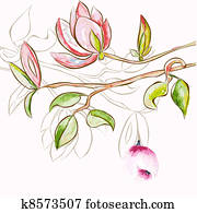 dekorativ, frühjahrsblumen dekorativ, frühjahrsblumen