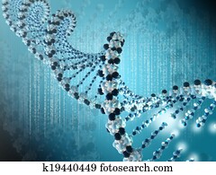 DNA spiral DNA spiral