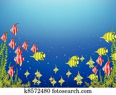 Ocean Underwater World Ocean Underwater World