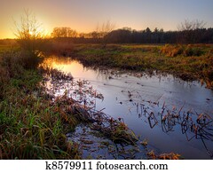 Setting sun shines through a tree