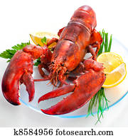 Lobster Lobster