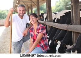 vaca, agricultores