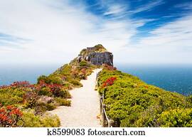 cape point nature reserve, south africa