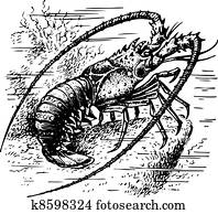 Crawfish Crawfish
