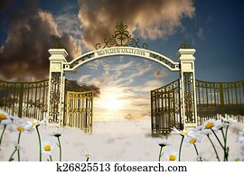 heaven gate heaven gate