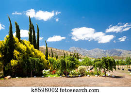 landscape in Robertson, South Africa