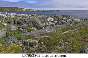 rocky Newfoundland coastline near Tilting