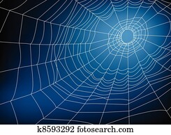 spider web spider web