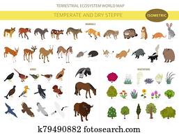Temperate and dry steppe biome, natural region isometric infographic. Prarie, steppe, grassland, pampas. Terrestrial ecosystem world map. Animals, birds and vegetations ecosystem design set Temperate and dry steppe biome, natural region isometric infographic. Prarie, steppe, grassland, pampas. Terrestrial ecosystem world map. Animals, birds and vegetations ecosystem design set