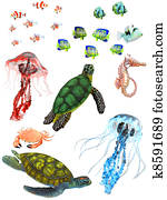 underwater animals underwater animals