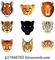 Big cats heads vector set Big cats heads vector set