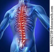 Human-Back-Pain