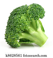 Fresh broccoli in closeup Fresh broccoli in closeup