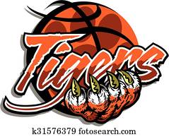 tiger, basketball tiger, basketball