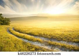 Lane in meadow and sunrise. Lane in meadow and sunrise.