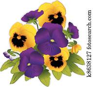 Purple and Gold Pansy Flowers Purple and Gold Pansy Flowers