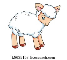 sheep sheep