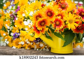 Spring flowers Spring flowers
