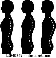 קשת, של, ה, עמוד שדרה