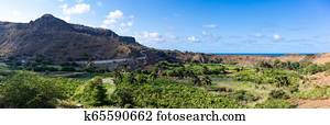Coconut and sugar canne plantation near Calheta Sao Miguel in Santiago Island  in Cape Verde - Cabo Verde