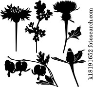 Wildflowers drugs Wildflowers drugs