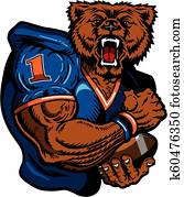 bears football bears football