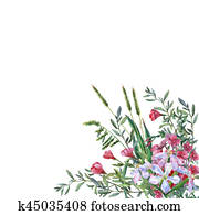 Colorful spring flowers and grass on a meadow. Watercolor hand painting illustration on isolate white background. Colorful spring flowers and grass on a meadow. Watercolor hand painting illustration on isolate white background.